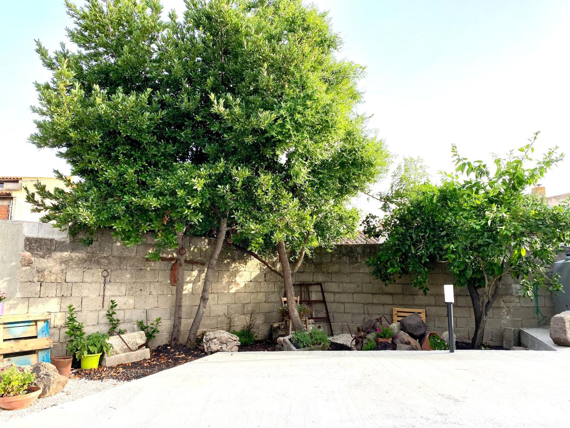 San Vero Milis Casa Mora 아파트 외부 사진